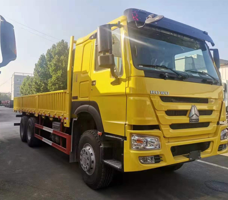 HOWO 6X4 CARGO TRUCK 1