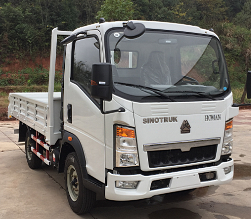 SINOTRUK 4X2 14FT CARGO TRUCK 1